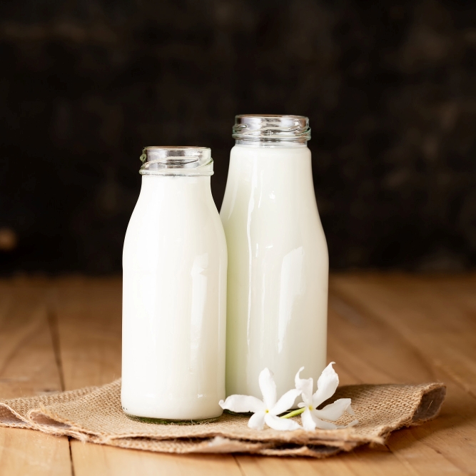 Fresh Cow Milk